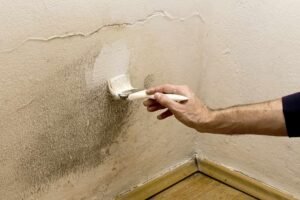 Pinturas antihumedades